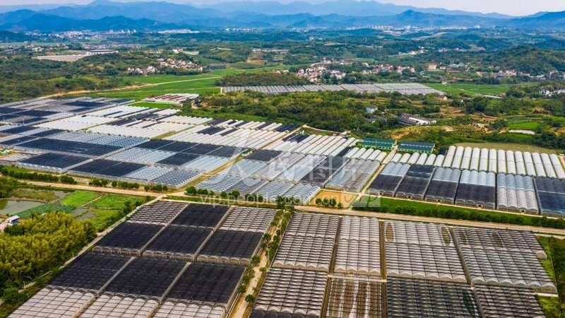 农民专业合作社注销审计报告：必要性与流程解析
