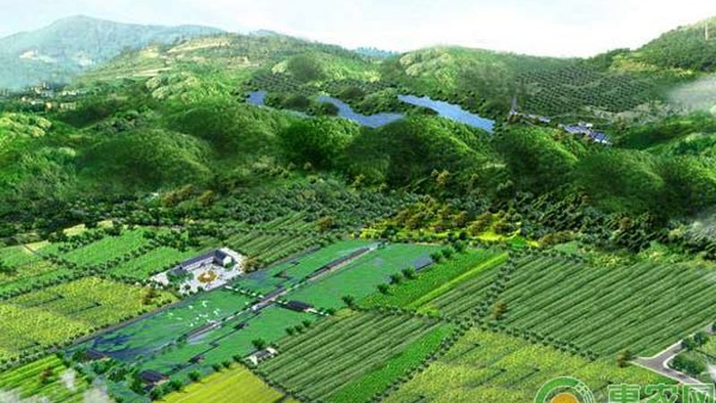 市场洞察：了解供需关系，精准定位