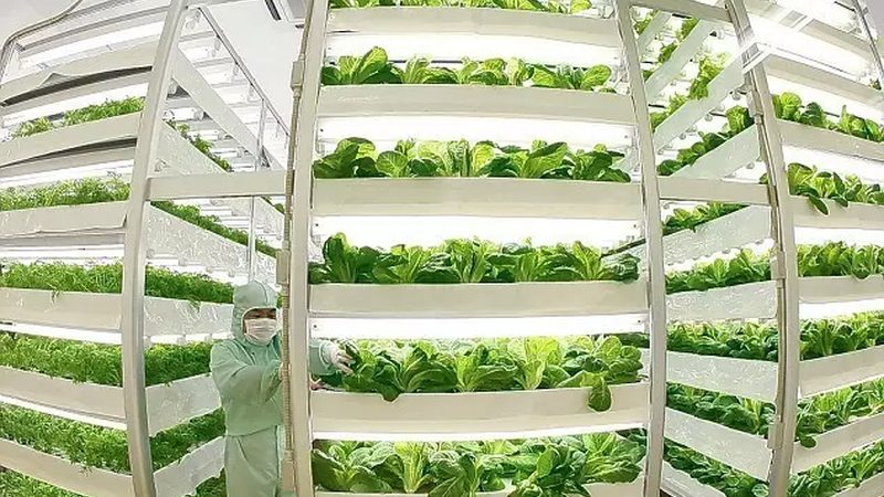 农产品配送成本核算：如何精准把控每一分钱