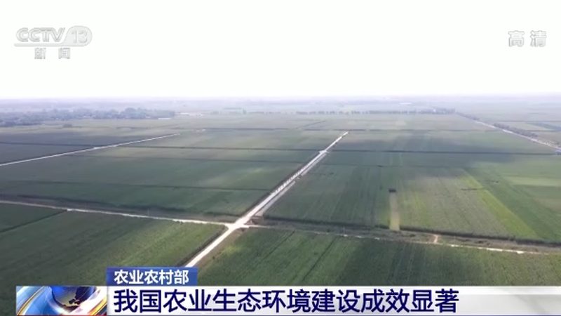 饲料采购参数规格揭秘：如何科学评估与选择