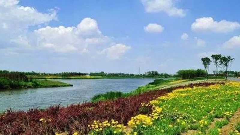 极飞植保无人机：精准农业的空中利器