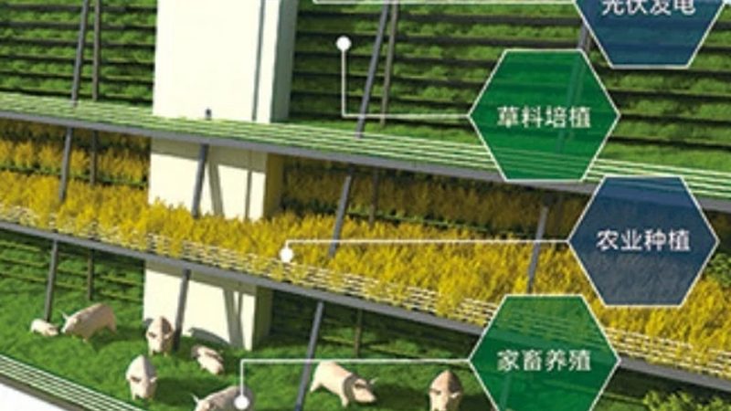 市场调研：找准目标市场