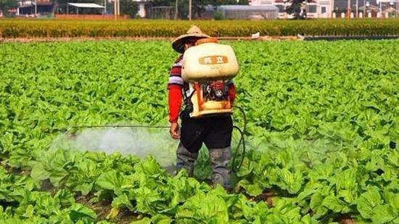 生鲜配送过程中，损耗是困扰许多企业的一大难题。究其原因，主要有以下几个方面：
